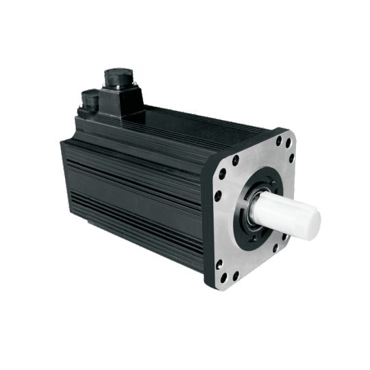 Großer AC-Servomotor